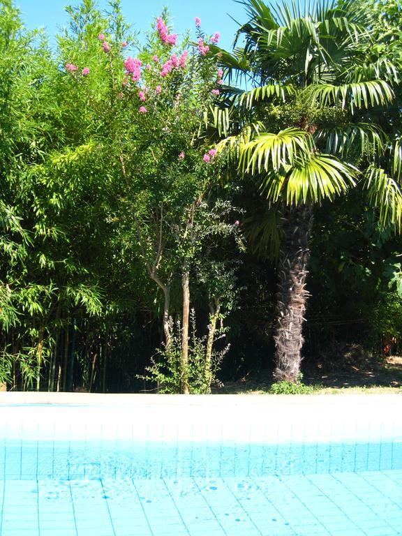 Apartment Apollonio Portorož Cameră foto